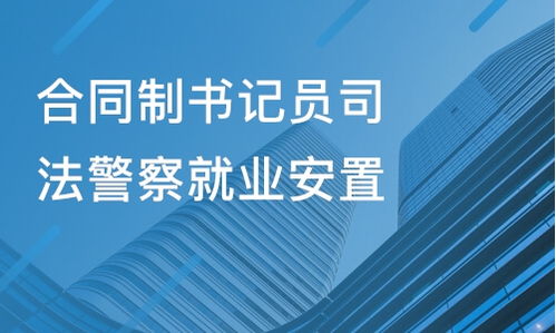 山东金柘教育与淘学培训 教育咨询服务的真实体验与深度解析