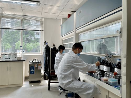 学史力行促发展 为民服务显成效 党史学习教育引领教育咨询服务新篇章